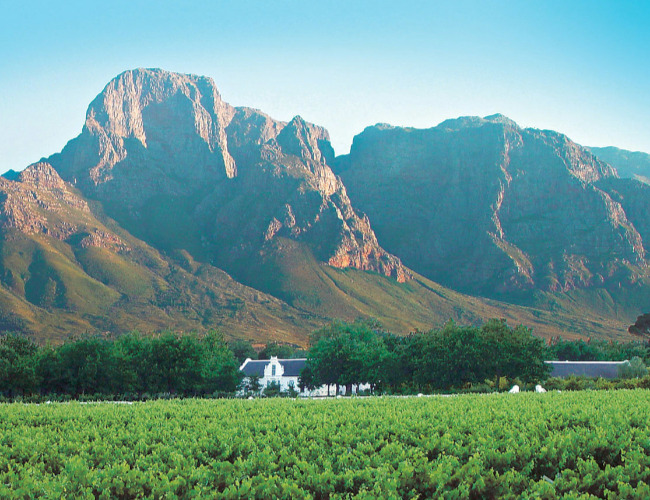 south african wine region